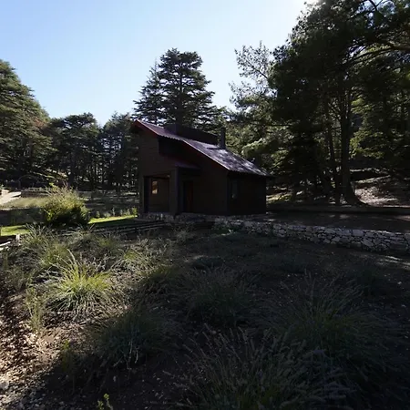 Bungalow Φετιγιέ