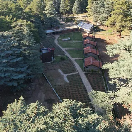 Bungalow Φετιγιέ